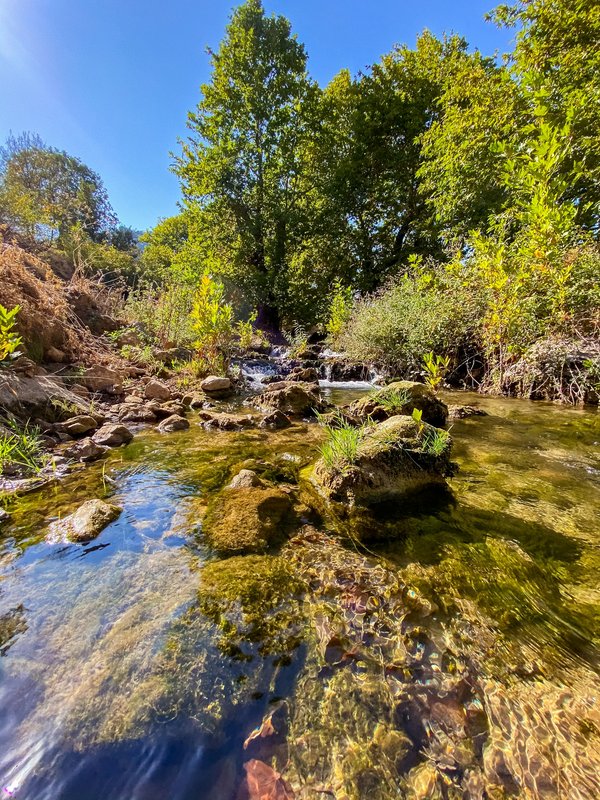 La Suisse, un excellent endroit pour passer un bon séjour